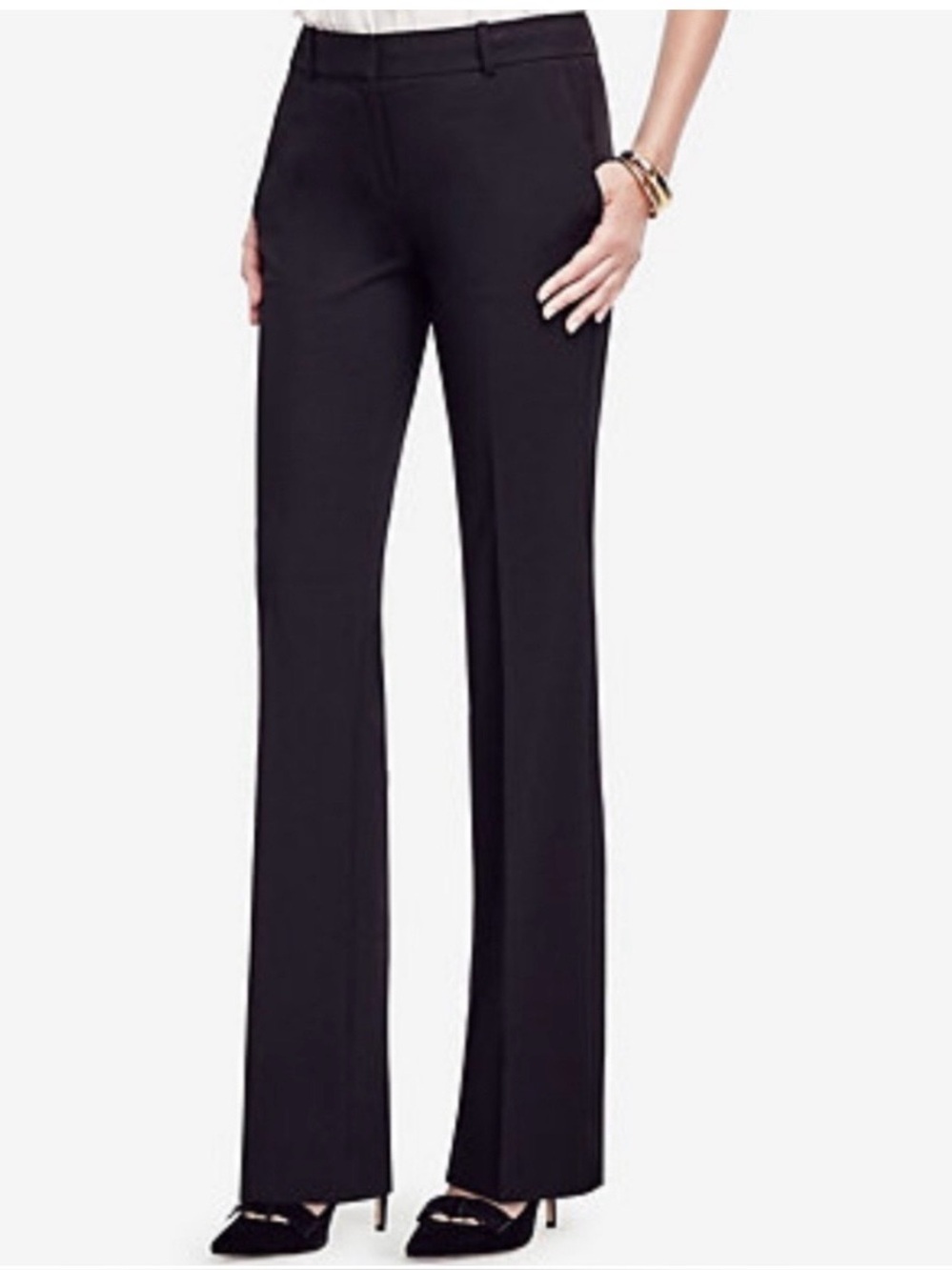 Ann Taylor Petite Margo Pants Size 6P